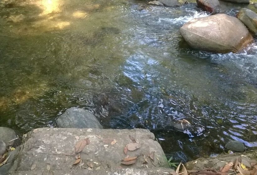 ホテル Restaurante Casa Antonio