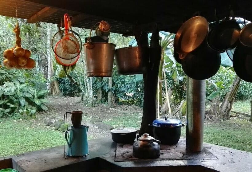 فندق ريفى Finca Vocaré Agroturismo