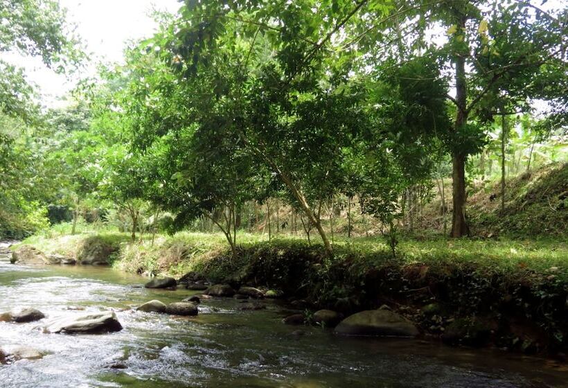 فندق ريفى Finca Vocaré Agroturismo