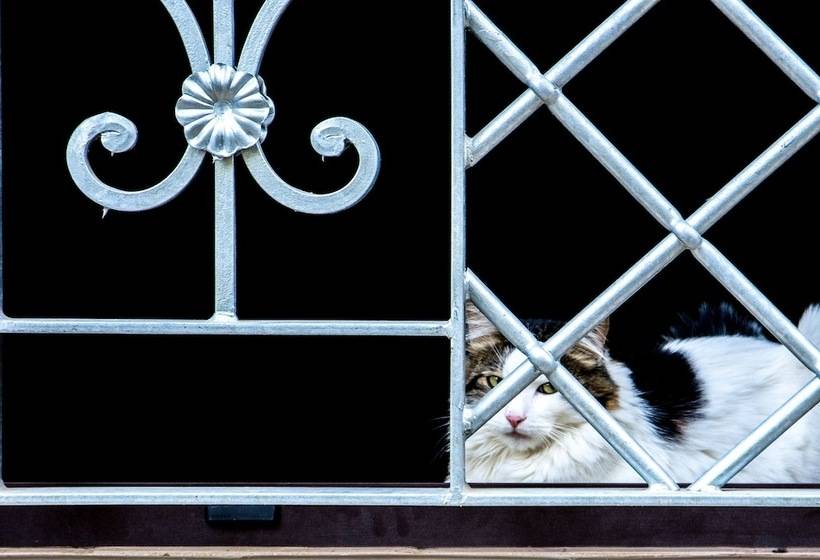 Сельский отель Le Colline Del Gelso