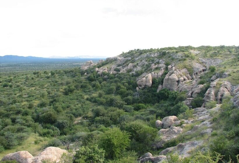 酒店 Sasa Safari Camp