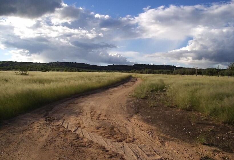 酒店 Sasa Safari Camp