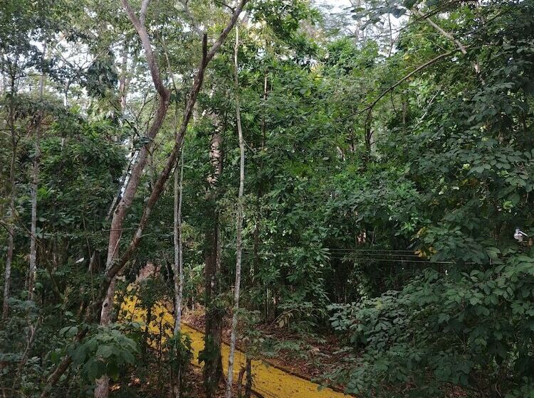 酒店 Selva Color Forest & Beach Ecolodge