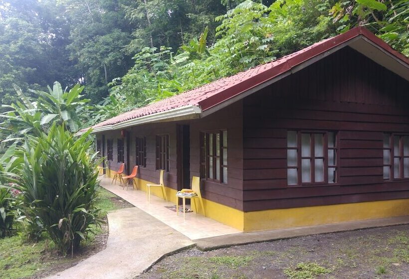 酒店 Selva Color Forest & Beach Ecolodge