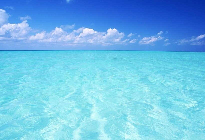 فندق Tropical Dreams   Sarasota Condos Near Siesta Key