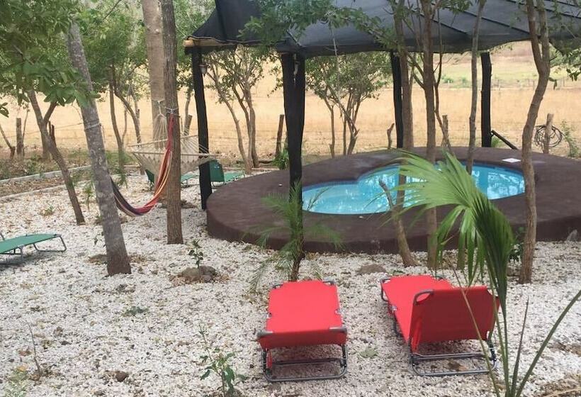 فندق Villa De Los Monos