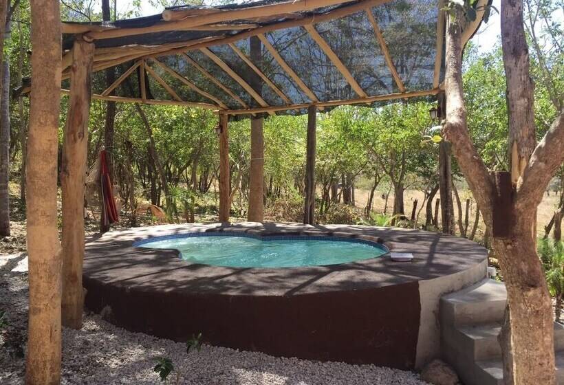 فندق Villa De Los Monos