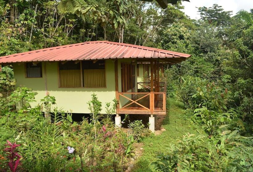 هتل Yachana Lodge