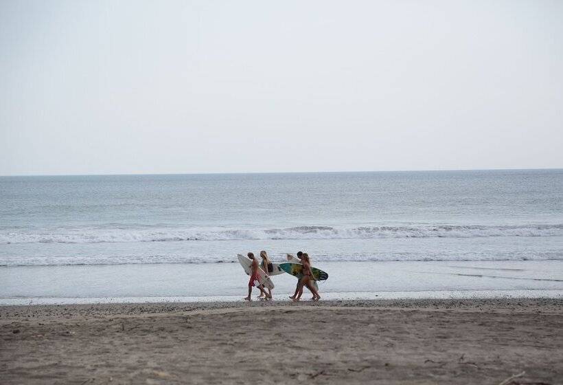 فندق Yalta S Inn