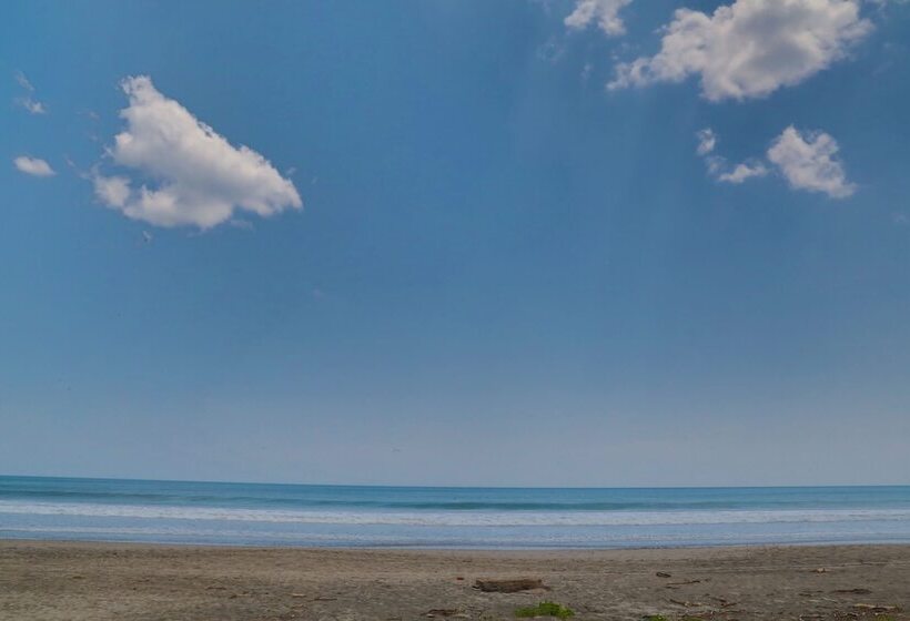 فندق Yalta S Inn