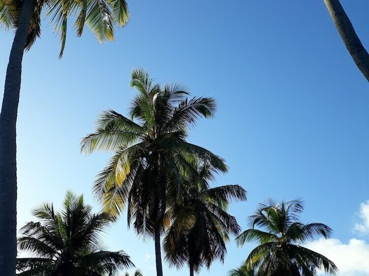 酒店 Yellow Home Providence Island