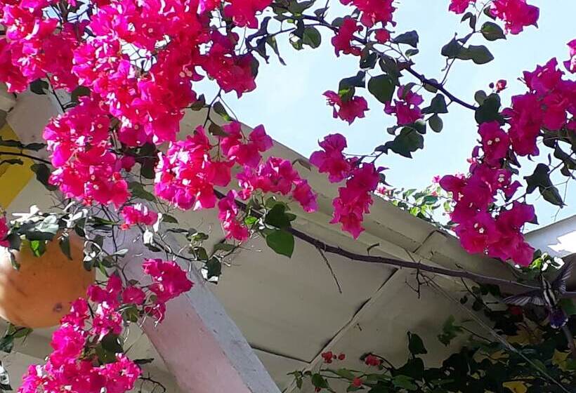 酒店 Yellow Home Providence Island