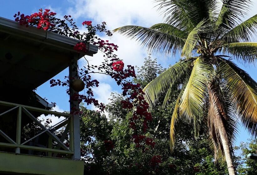 酒店 Yellow Home Providence Island