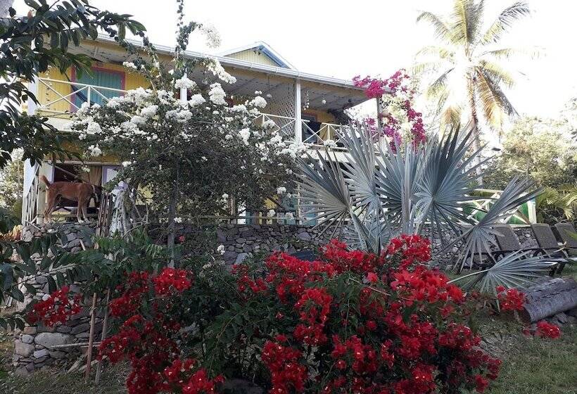 酒店 Yellow Home Providence Island