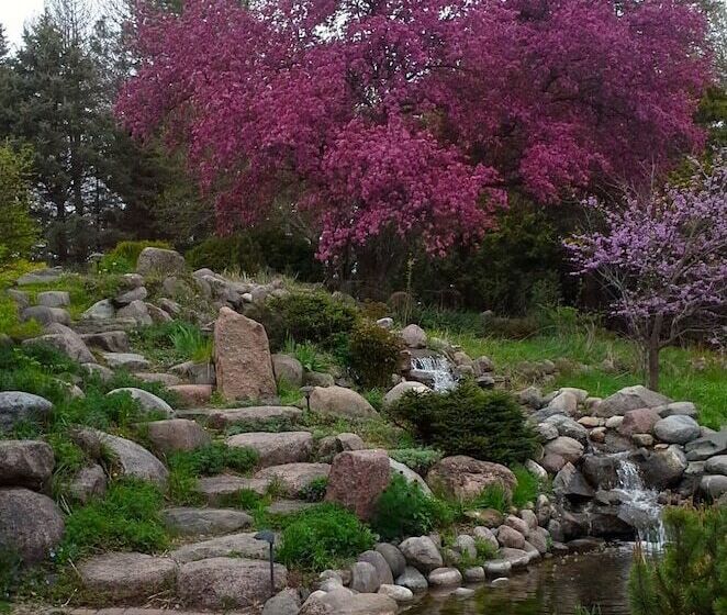 Loya S Little House Bed & Breakfast