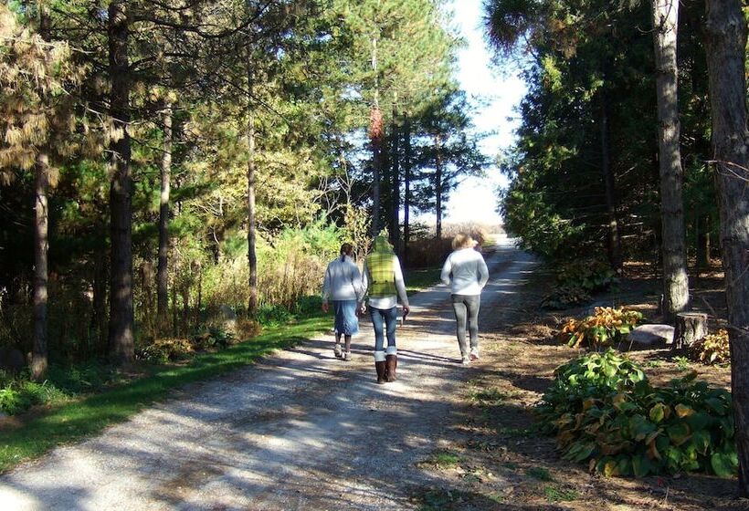 Loya S Little House Bed & Breakfast