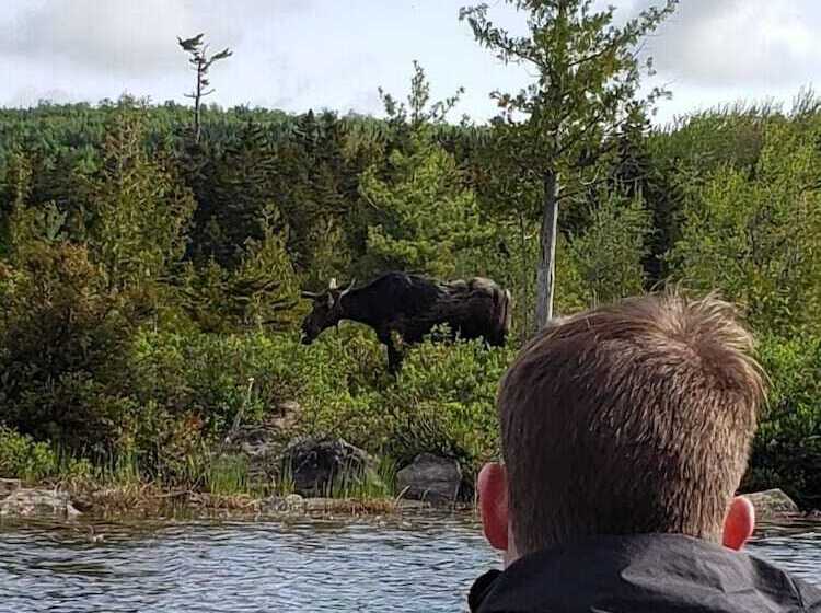 فندق على الطريق Moose Mountain Inn