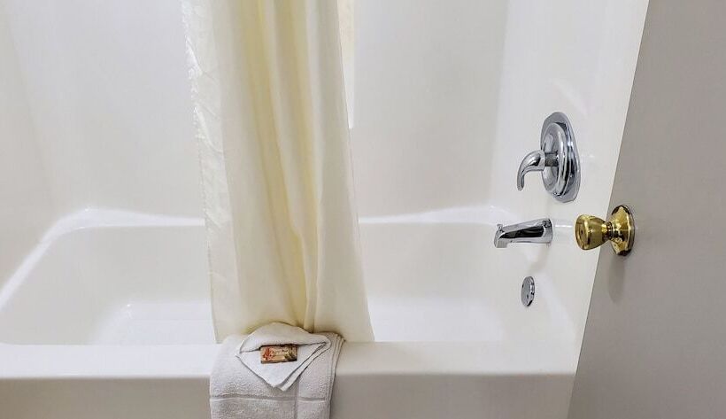 فندق على الطريق Palmetto Inn