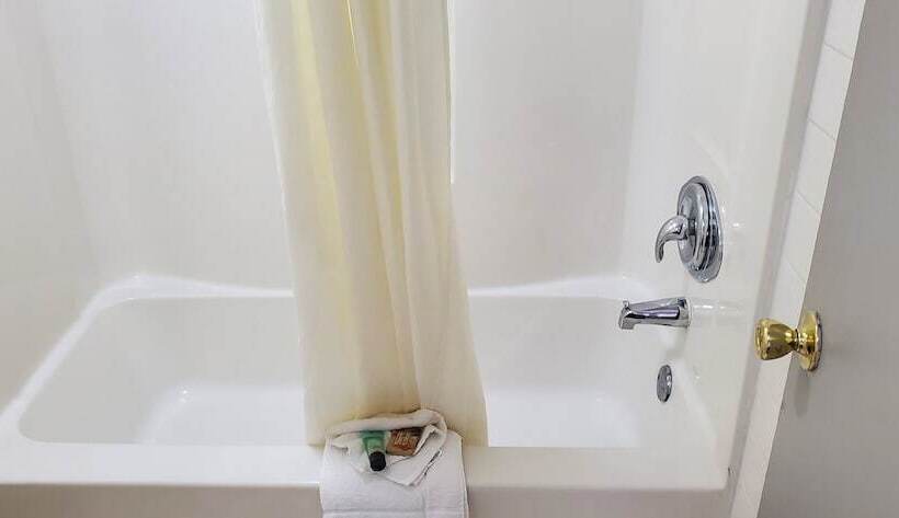 فندق على الطريق Palmetto Inn