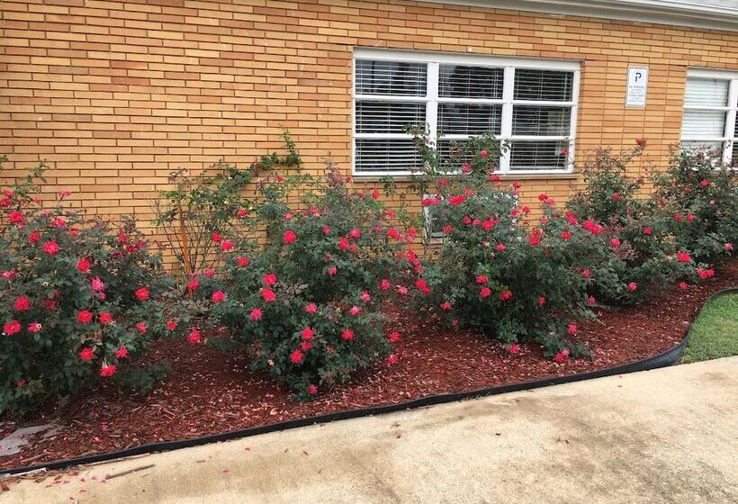 汽车旅馆  Travel Inn