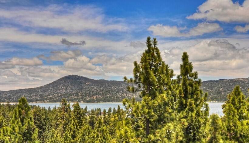 No 20 Mountain Masterpiece