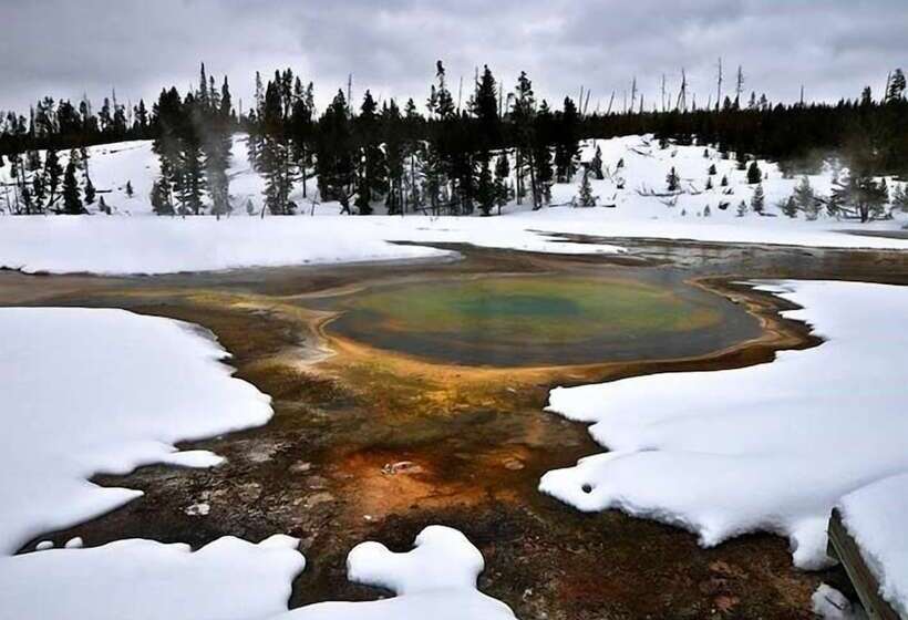 Paradise Gateway B&b And Vacation Homes