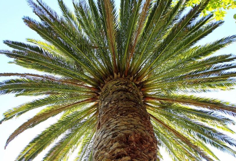 פנסיון Alphen Lodge Constantia