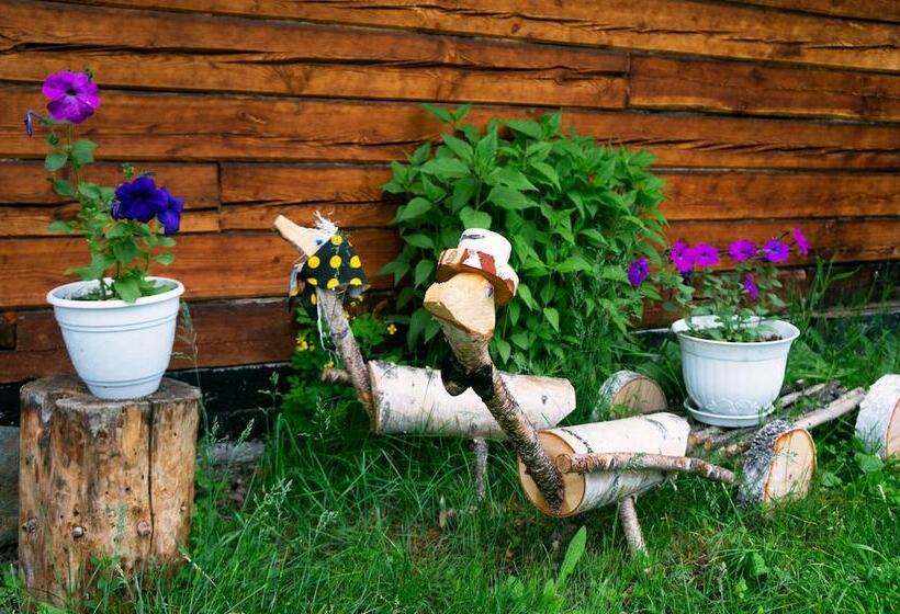 بنسيون Baikalyeti