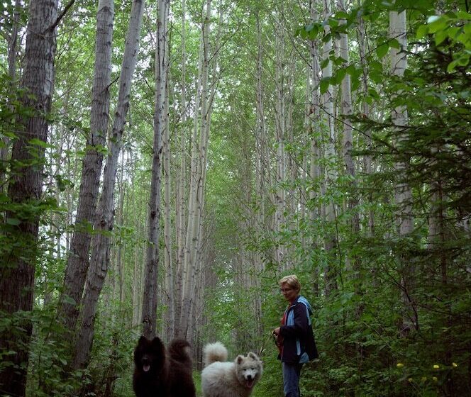 بنسيون Baikalyeti