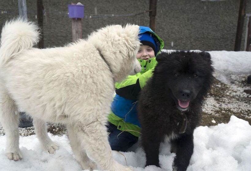 بنسيون Baikalyeti