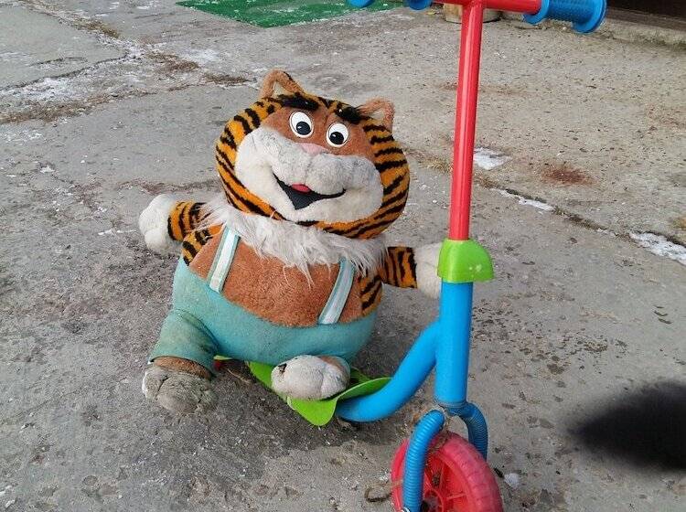 بنسيون Baikalyeti