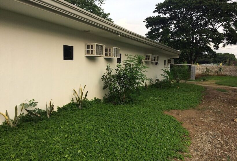 بنسيون Bumblebee Inn