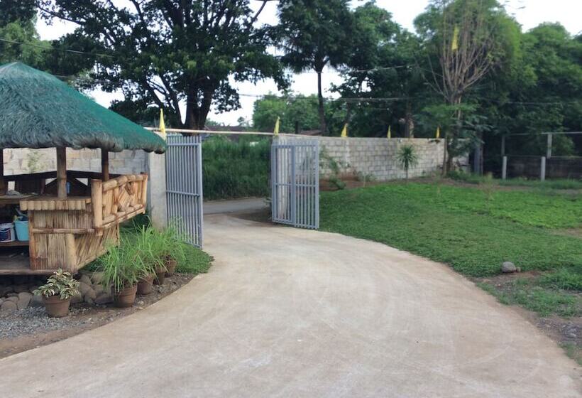 بنسيون Bumblebee Inn