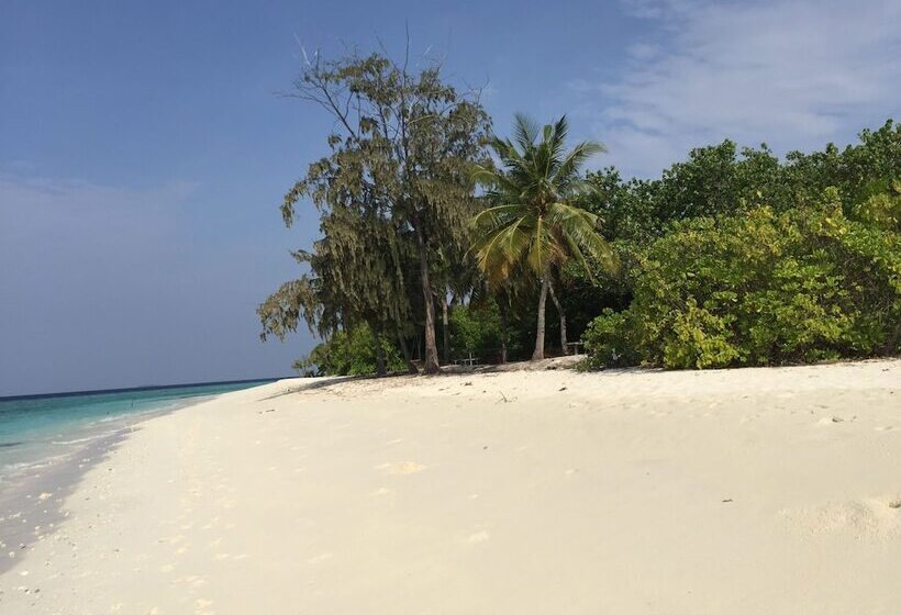 ペンション Dhonveli Residence