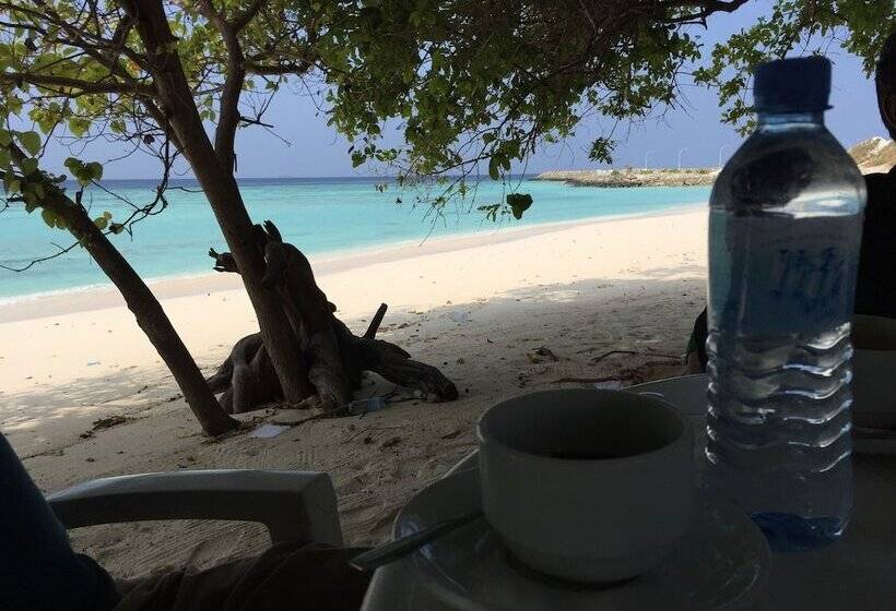 ペンション Dhonveli Residence