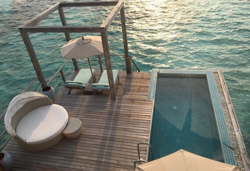 ペンション Dhonveli Residence