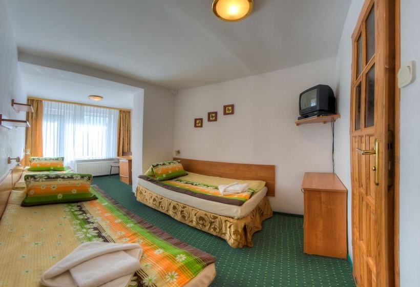 ペンション Dom Gościnny Amigo