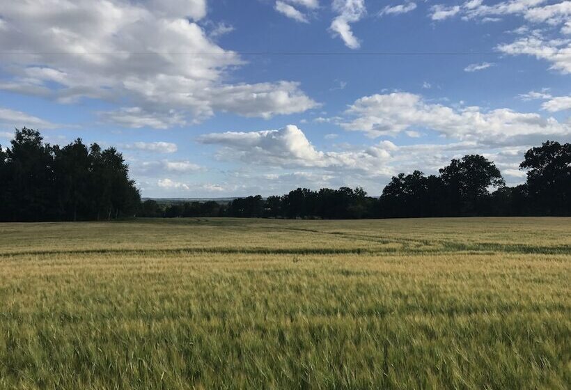 פנסיון Dwór Dawidy