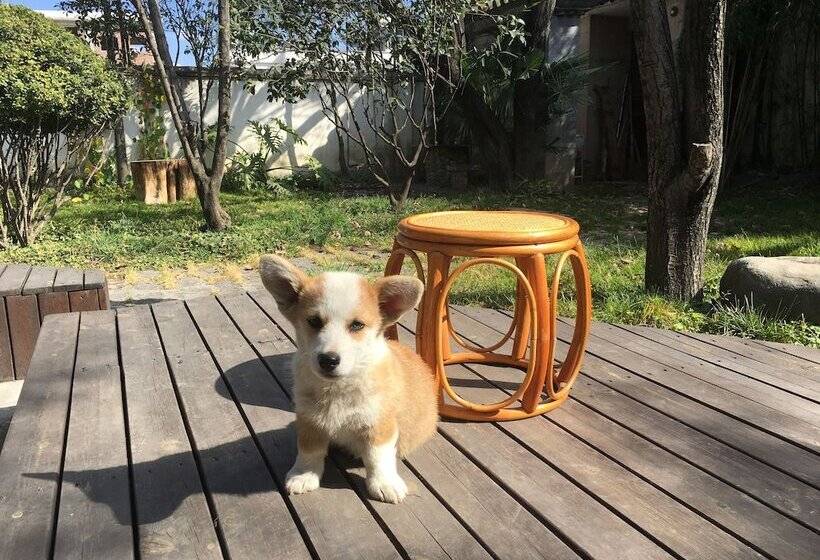 بنسيون Ooh Countryard Inn