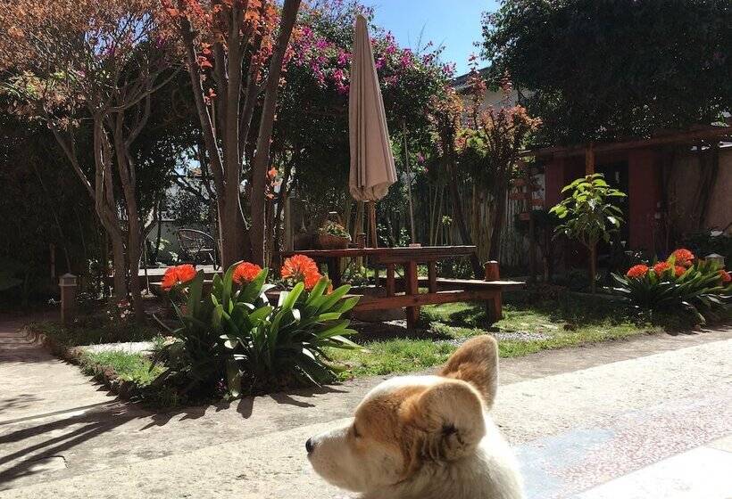 بنسيون Ooh Countryard Inn