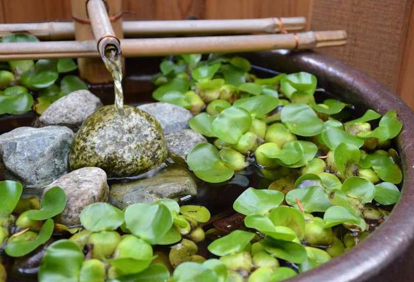 膳宿费 Shades Of Jade Inn And Spa