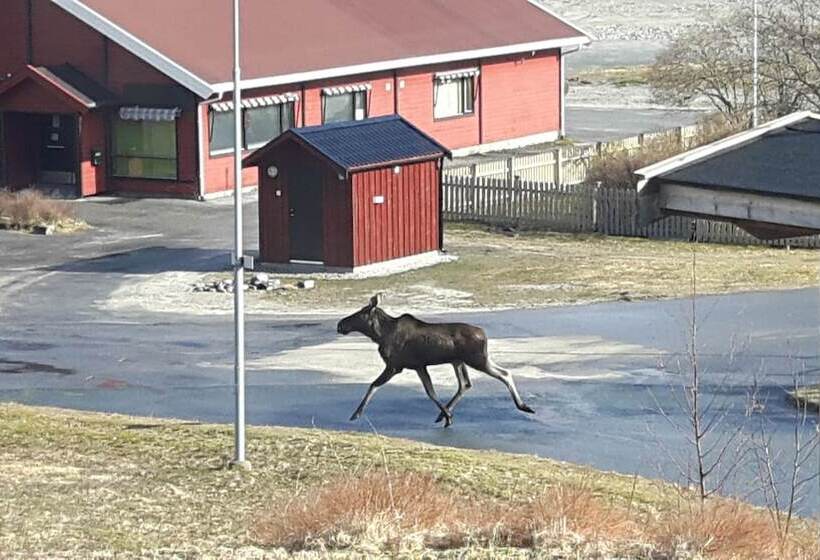 膳宿费 Terråk Gjestegård