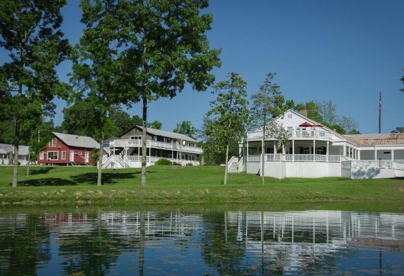 بنسيون Village Studios