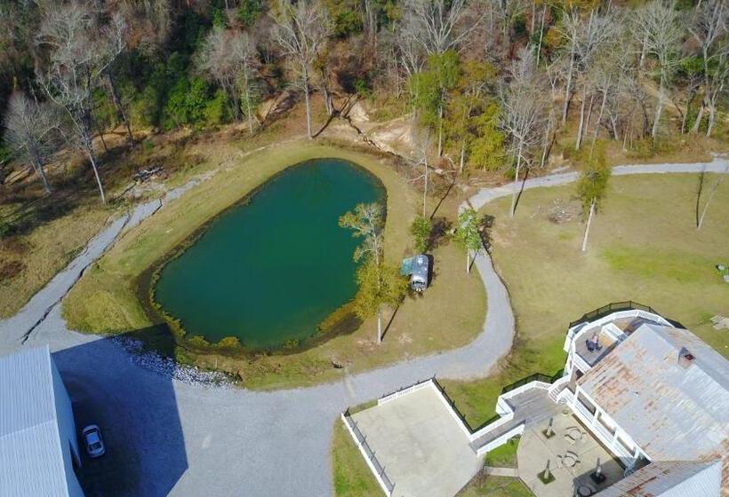 بنسيون Village Studios