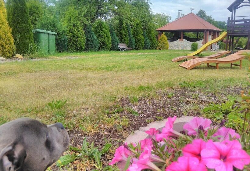 פנסיון Willa Muza