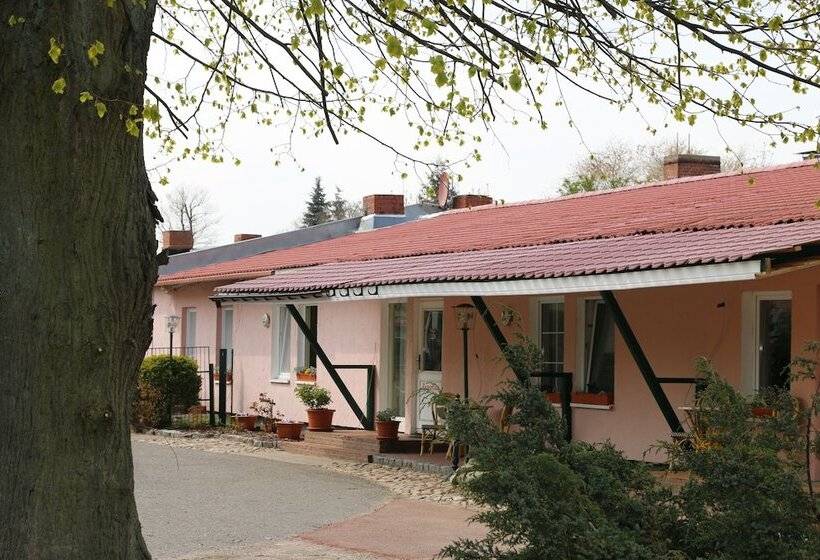 Pension, Seminarräume & Käsemanufaktur Im Leezener Hof