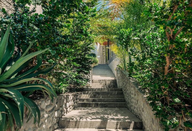 Puro Surf Hotel And Academy