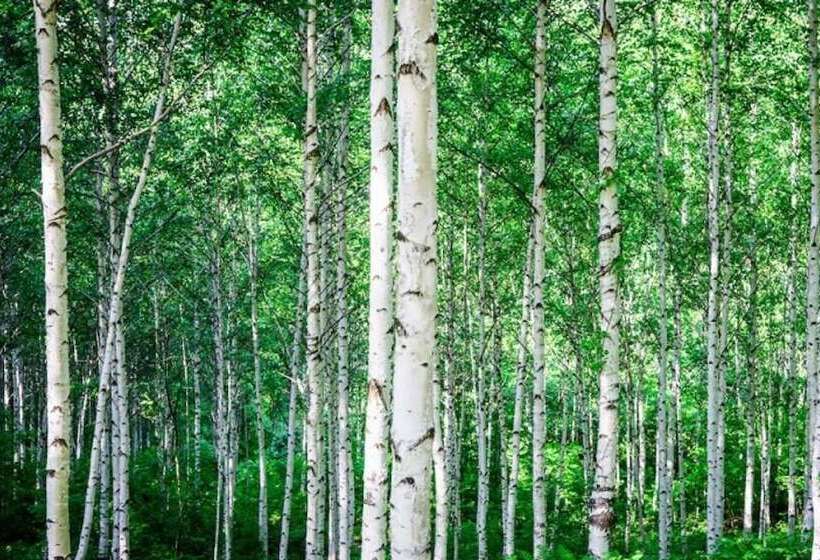 Pyeongchang Anne Pension