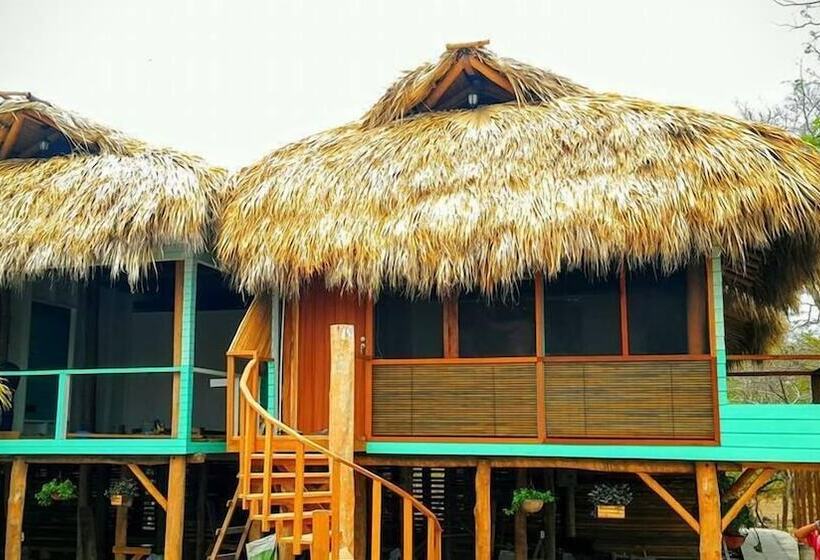 Solost Hotel Eco Boutique