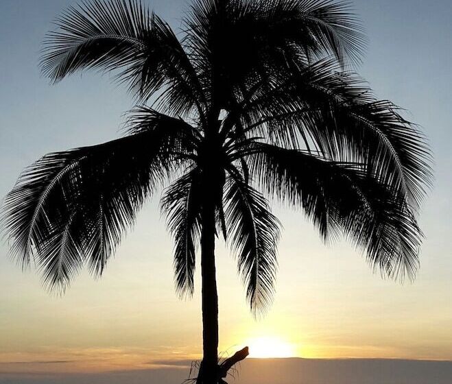 Surfcamp Guanico   Hostel